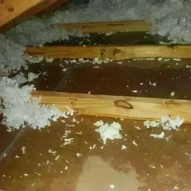 Attic Water Damage in Oak Grove, MN