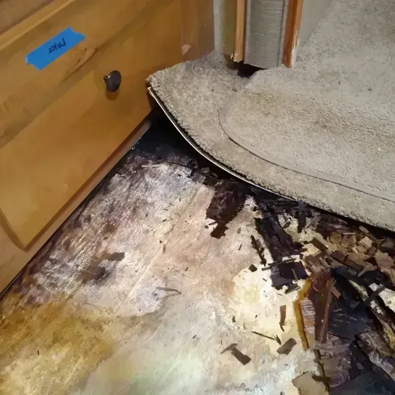 Best Wood Floor Water Damage Service in Oak Grove, MN